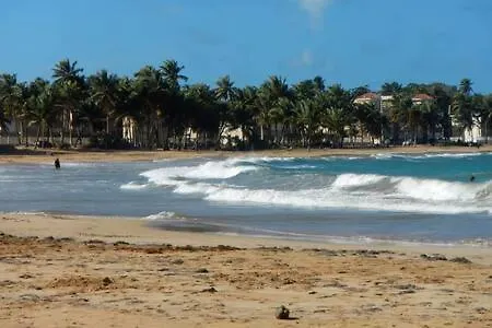 شقة Seaside Serenity - Cozy Studio لوكويللو
